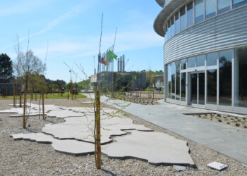 RARU 2024: LIPOR com taxa de captura acima de 20% nos biorresíduos