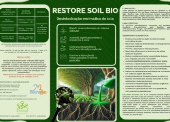 Mouraplas: Inovação ao serviço da Saúde Ambiental