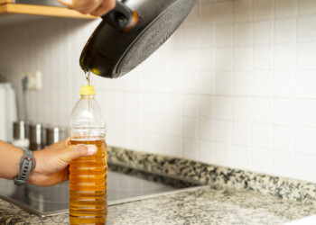 Associação de Bioenergia Avançada alerta que Portugal precisa de reaproveitar resíduos alimentares para produzir energia limpa