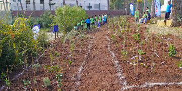 Zoomarine e Nativawaky trazem 420 árvores e plantas autóctones a escola de Messines