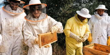 One Health Regenera: Esta iniciativa está a doar colmeias para recuperar ecossistemas afetados pelos incêndios