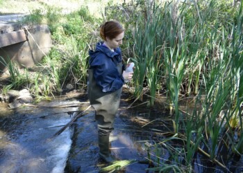 Investigadores alertam para elevada contaminação de fármacos nas ribeiras urbanas europeias