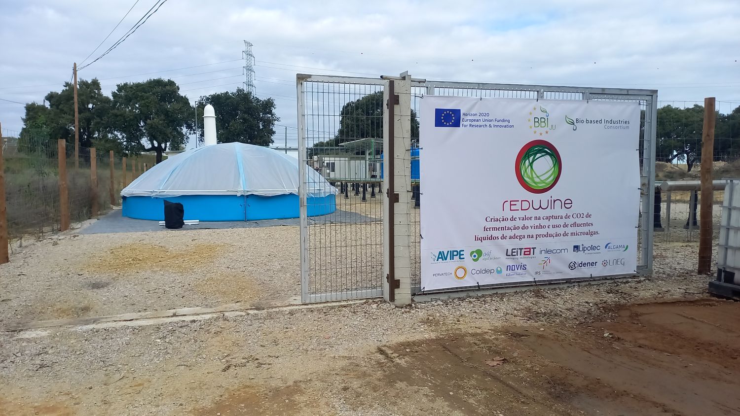 Projeto europeu inaugura “laboratório vivo” em Palmela para dar nova vida aos resíduos vinícolas
