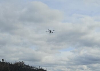 Sonae Arauco e Município de Oliveira do Hospital unem-se na recuperação de 40 hectares ardidos
