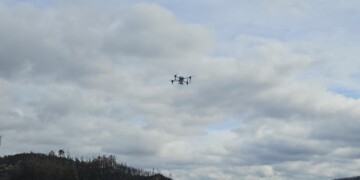 Sonae Arauco e Município de Oliveira do Hospital unem-se na recuperação de 40 hectares ardidos