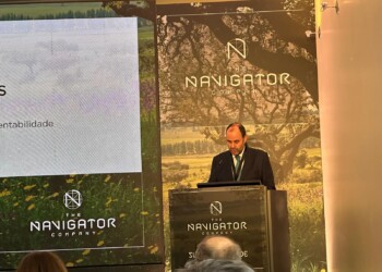 “Problema não está na sustentabilidade em si, mas na forma como tem sido compreendida no processo de criação de valor”