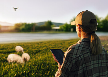 Crédito Agrícola lança Programa de Transição Sustentável para a agricultura