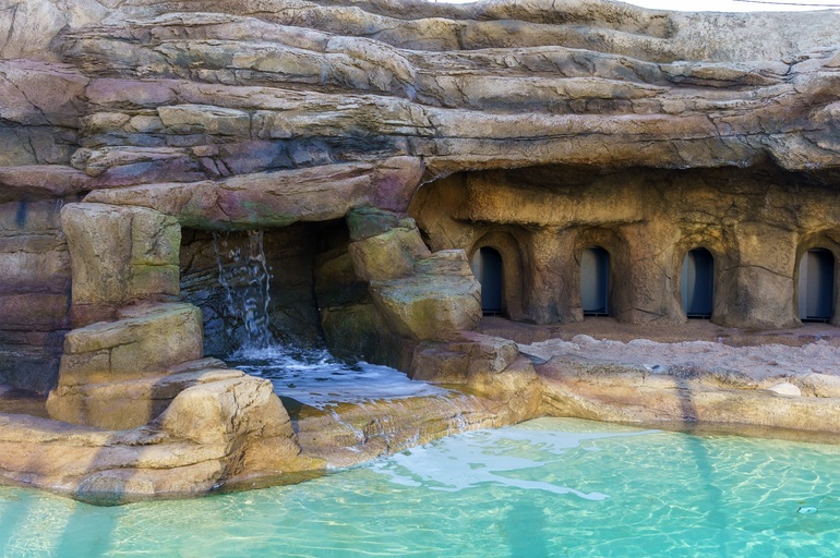 SEA LIFE Porto investe meio milhão de euros na renovação do Porto dos Pinguins