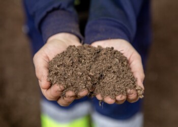 Guimarães não vai aumentar tarifas de resíduos urbanos em 2026