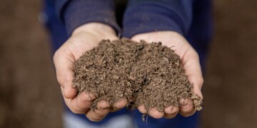 Guimarães não vai aumentar tarifas de resíduos urbanos em 2026