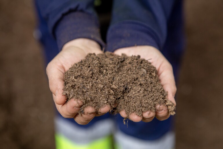 Guimarães não vai aumentar tarifas de resíduos urbanos em 2026