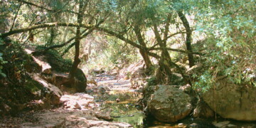 Organizações Ambientais denunciam situações de poluição decorrentes no rio Alviela