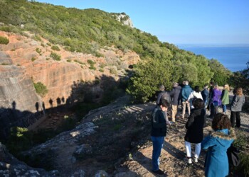 Comité Nacional MaB da UNESCO visita Reserva da Biosfera da Arrábida
