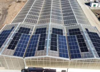 BioSmart amplia UPAC em São Bartolomeu de Messines