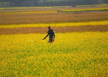 Desregulação dos pesticidas: Quercus reforça crítica a proposta da Comissão Europeia