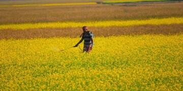 Desregulação dos pesticidas: Quercus reforça crítica a proposta da Comissão Europeia