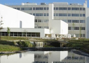 Porto Business School debate a nova era climática para empresas