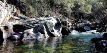APA investe na reabilitação fluvial em Águeda e Albergaria-a-Velha