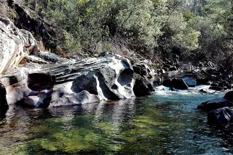 APA investe na reabilitação fluvial em Águeda e Albergaria-a-Velha