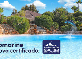 Zoomarine renova certificação de bem-estar animal pelo oitavo ano consecutivo