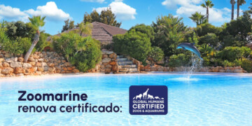 Zoomarine renova certificação de bem-estar animal pelo oitavo ano consecutivo
