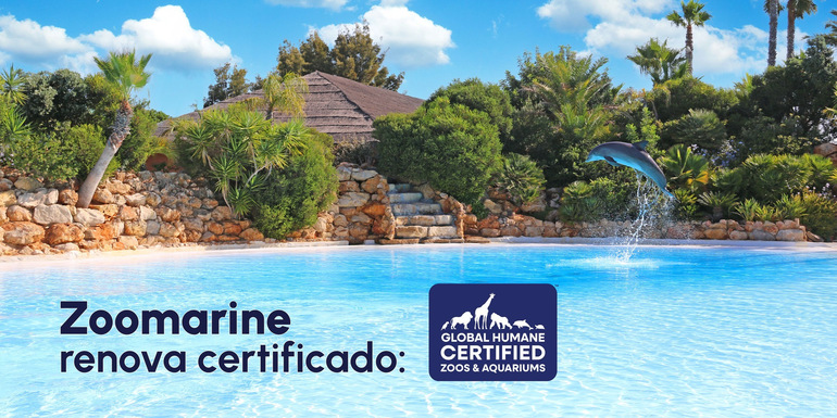 Zoomarine renova certificação de bem-estar animal pelo oitavo ano consecutivo