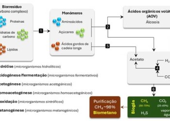 CESAM: Biometano como vetor estratégico para a transição energética e a economia circular