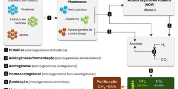 CESAM: Biometano como vetor estratégico para a transição energética e a economia circular