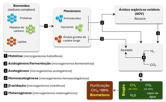 CESAM: Biometano como vetor estratégico para a transição energética e a economia circular