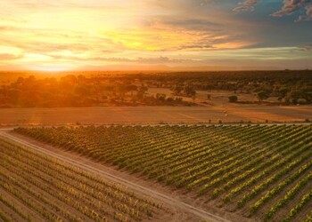 Companhia das Lezírias cria Conselho Estratégico de Sustentabilidade