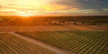 Companhia das Lezírias cria Conselho Estratégico de Sustentabilidade