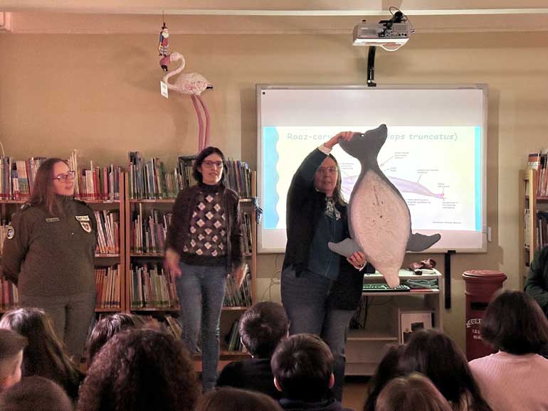 Nasceu mais um golfinho no Estuário do Sado