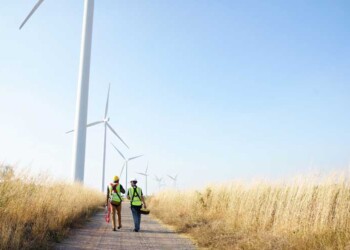 Tecnologia da Minsait permite redução de até 80% das colisões com aves em parques eólicos