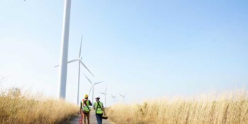 Tecnologia da Minsait permite redução de até 80% das colisões com aves em parques eólicos