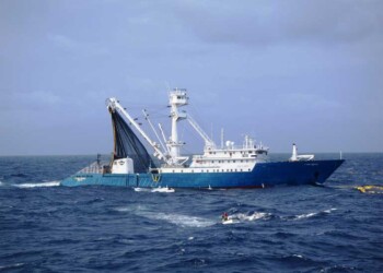 Estudo internacional apresenta guia prático sobre como a IA pode reforçar a proteção dos oceanos