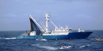 Estudo internacional apresenta guia prático sobre como a IA pode reforçar a proteção dos oceanos