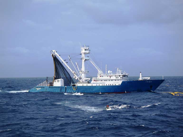 Estudo internacional apresenta guia prático sobre como a IA pode reforçar a proteção dos oceanos