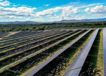 Prosolia Energy incorpora 229 MW de capacidade operacional em Espanha