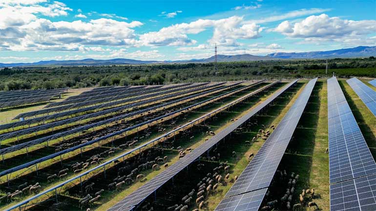 Prosolia Energy incorpora 229 MW de capacidade operacional em Espanha