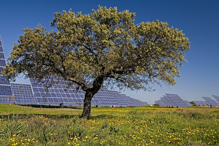 Acciona entre as 200 empresas do mundo que mais contribuem para a economia limpa