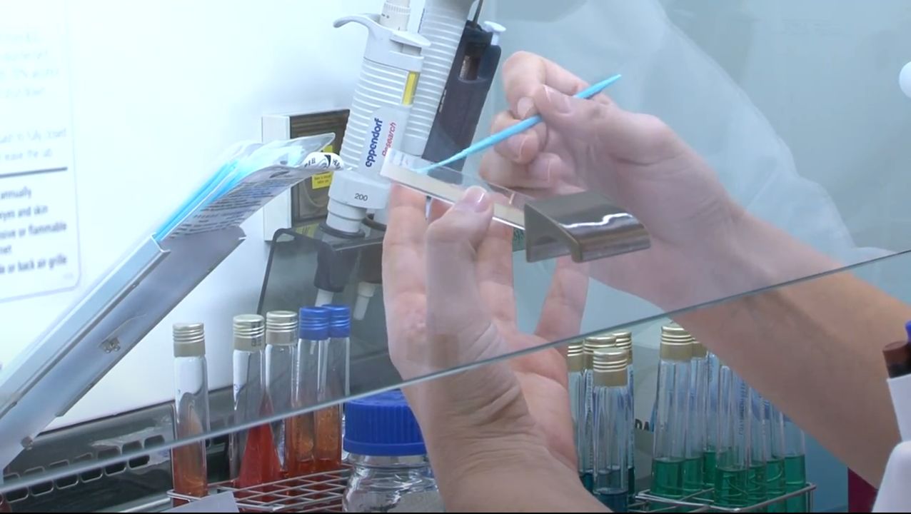 Laboratório da Água da Universidade de Évora reforça acreditação e alarga capacidade técnica