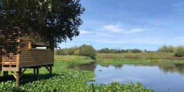 Projeto da Quercus na Pateira de Fermentelos distinguido com reconhecimento internacional