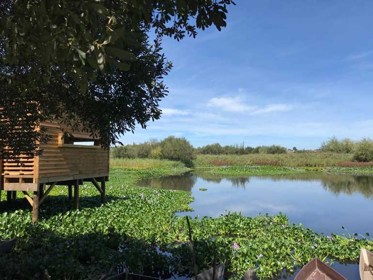 Projeto da Quercus na Pateira de Fermentelos distinguido com reconhecimento internacional