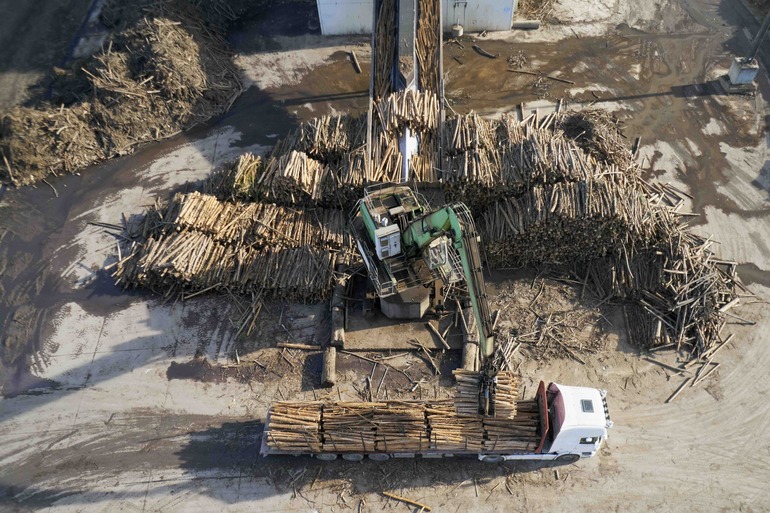 Altri reforça apoio a parceiros florestais afetados pela depressão “Kristin”