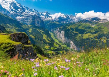 Organizações de ambiente lançam maior petição europeia contra a simplificação das leis ambientais