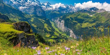 Organizações de ambiente lançam maior petição europeia contra a simplificação das leis ambientais