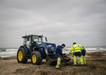 Porto Ambiente reforça operação de limpeza das praias após tempestades