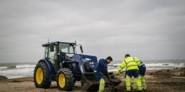 Porto Ambiente reforça operação de limpeza das praias após tempestades