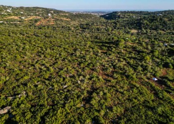Loulé classifica duas novas áreas protegidas e passa a contar cinco de âmbito local no concelho