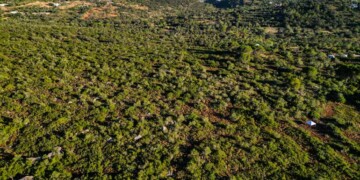 Loulé classifica duas novas áreas protegidas e passa a contar cinco de âmbito local no concelho